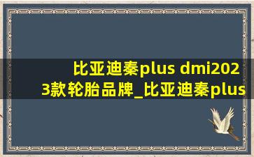 比亚迪秦plus dmi2023款轮胎品牌_比亚迪秦plus dmi2023款轮胎